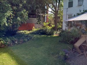 grass with curved gardens