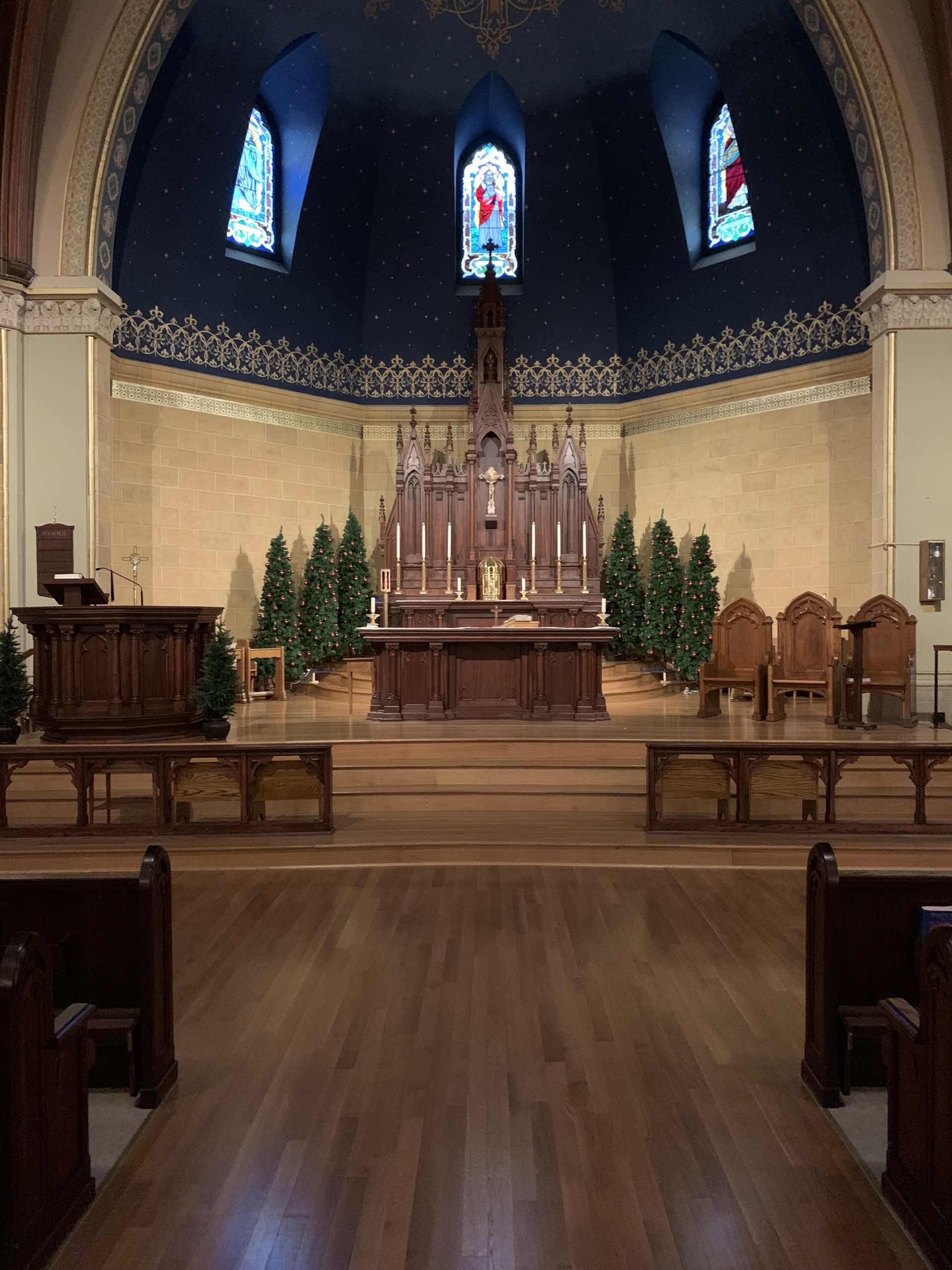 Sanctuary with pine trees